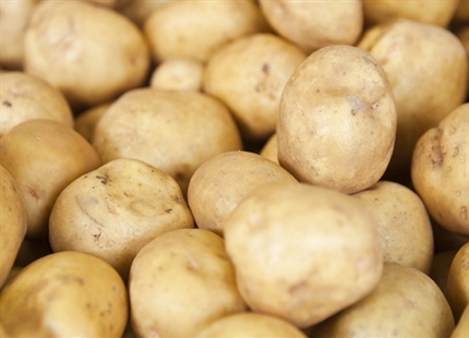 Humidification et déshumidification pour le stockage et la production d'aliments