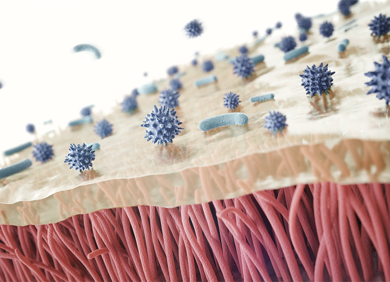 L'humidification renforce notre système immunitaire